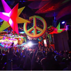 Tropical Thrill: Exotic Night Bash
